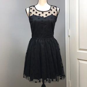 American Rag Black Whistler Cocktail Dress
